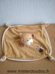 Chien Marron patte marron Gipsy