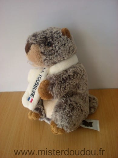 Marmotte Marron chine echarpe blanche Cmp