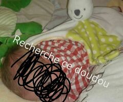 Recherche doudou lapin