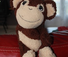 Sos doudou singe/bouillotte perdu