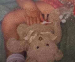 Marque nounours F35210