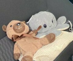 Doudou Castor