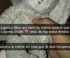 Lapin bleu et lapin violet