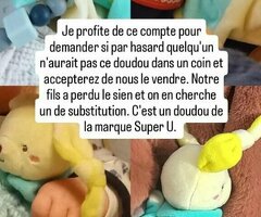 Doudou perdu - Villejuif