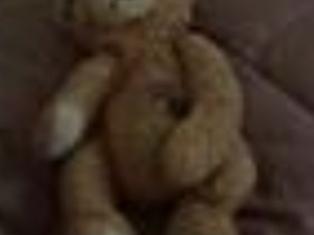 Recherche doudou ours beige – naissance 2004 – carrés violet et vert