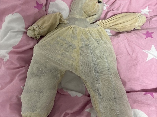 Help my find my bunny please