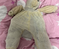 Help my find my bunny please