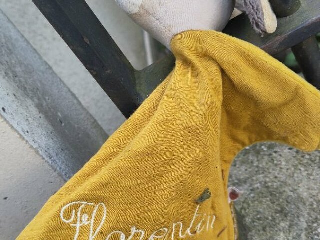 Lapin Florentin Jaune orange