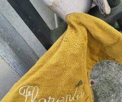 Lapin Florentin Jaune orange