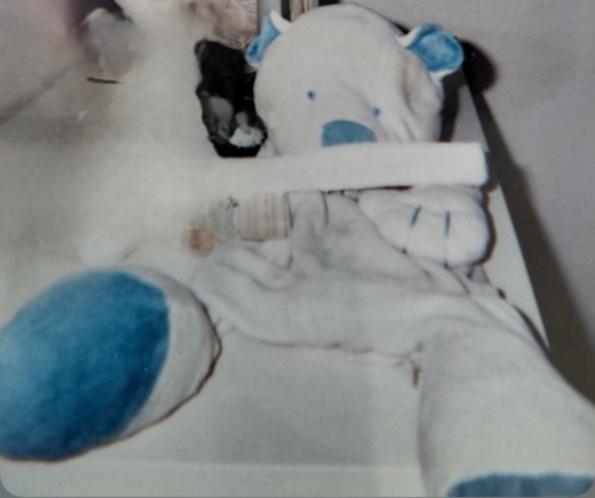 Recherche de doudou