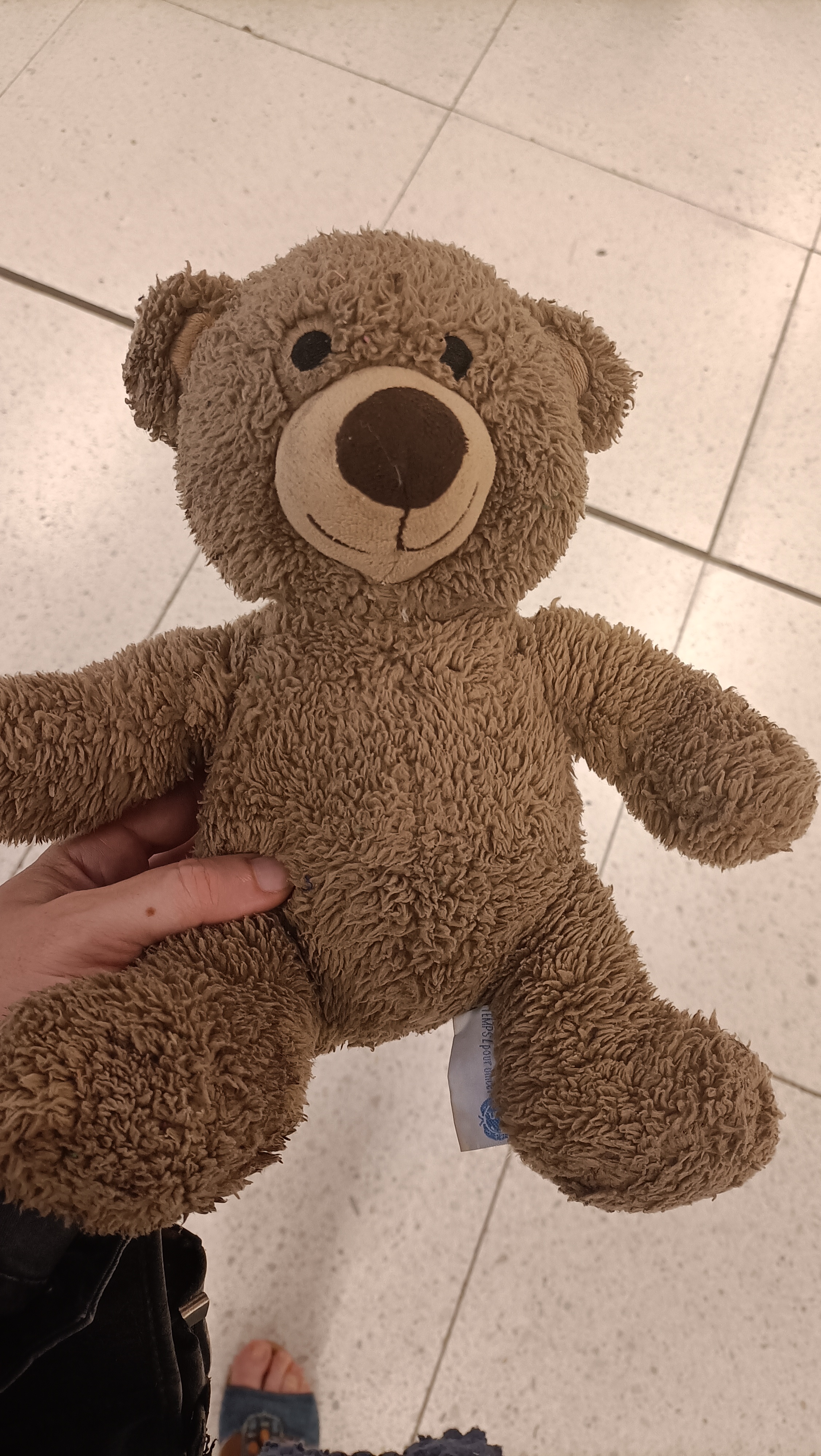 doudou ours trouvé