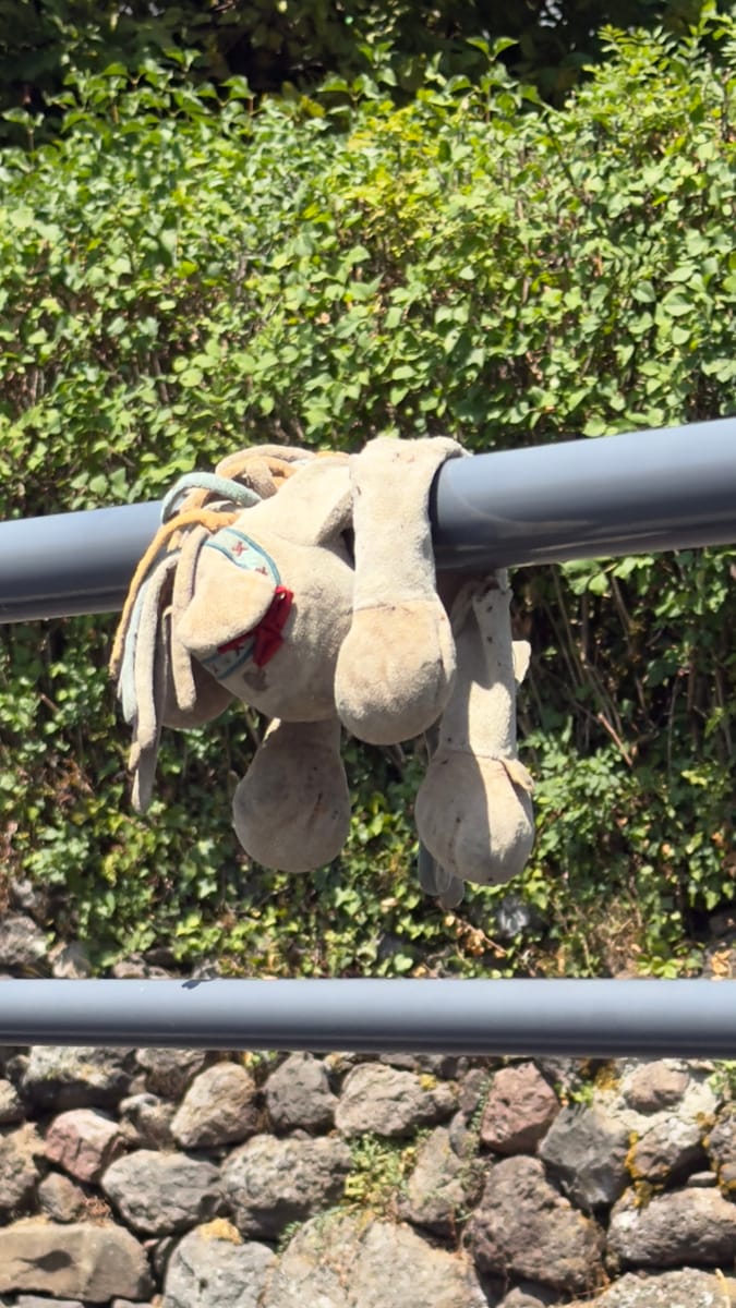 Doudou, mardi 11/8, à Tournemire.