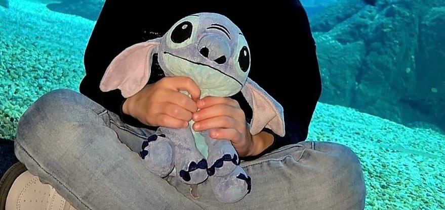 Doudou Stitch