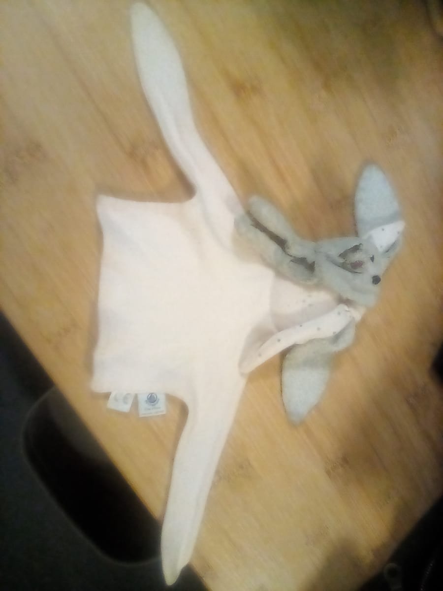 doudou lapin je crois
