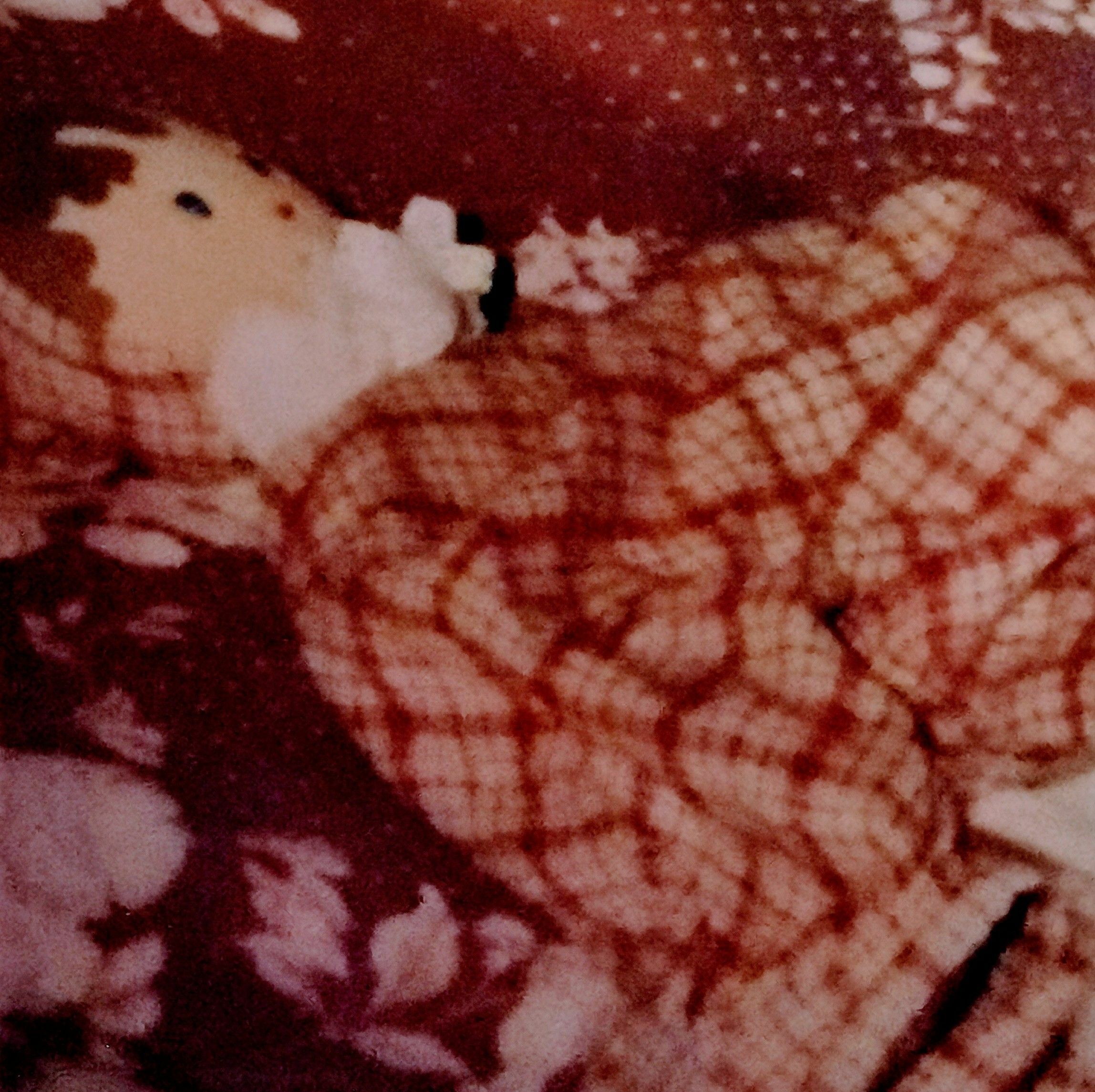 Recherche doudou d'enfance