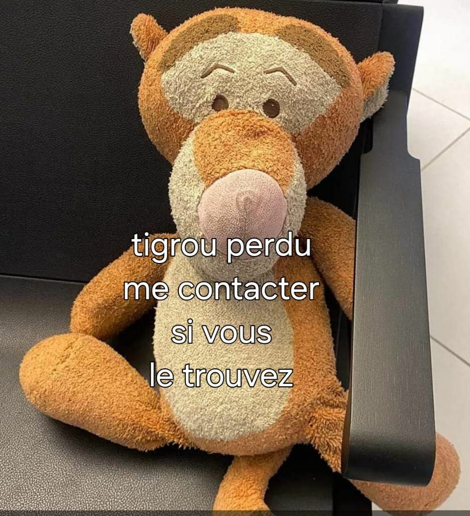 Tigrou