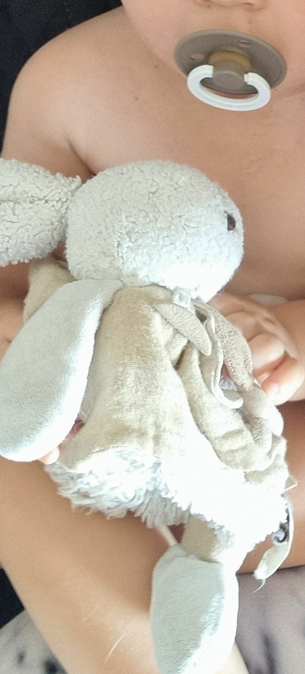 Lapinou-crado porté disparu depuis vendredi 9 Août