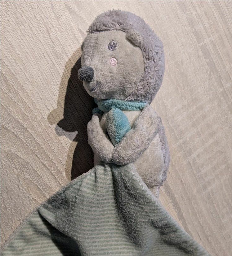 Doudou trouvé sur la route – Sarzeau (56) – 28/09/24