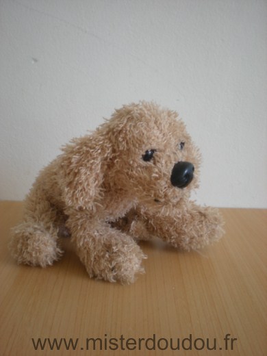 Cp international Chien Beige nez plastique noir yeux marrons - Très bon état