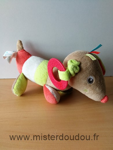 Sucre d orge Chien Beige vert blanc rouge anneau dentaire - Très bon état