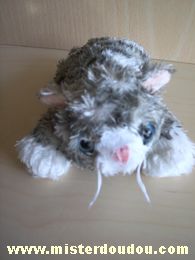 Doudou Chat - Marque non connue - Gris blanc 