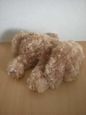 Doudou Chien Barbara bukowski Beige billes noires pour les yeux nez cousu marron 