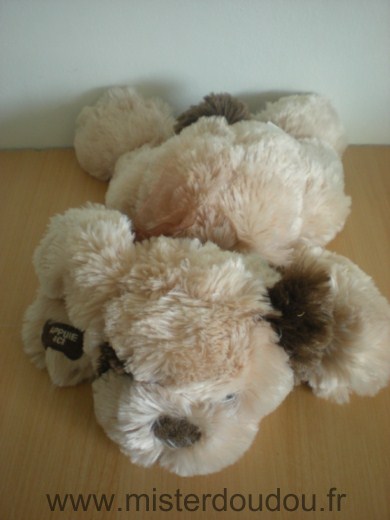 Doudou Chien Cobico Beige marron ruban marron 