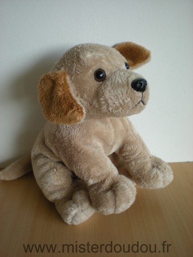 Doudou Chien Lascar Beige marron 