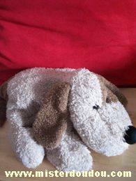 Doudou Chien - Marque non connue - Beige marron 