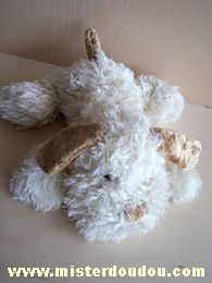 Doudou Chien Startoy Ecru ventre blanc 