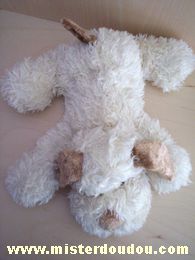 Doudou Chien Startoy Ecru ventre blanc 