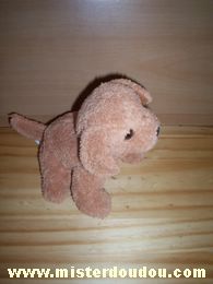 Doudou Chien Startoy Marron 