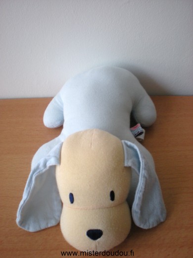 Doudou Chien Sucre d orge Bleu beige avec scratch sous le ventre 