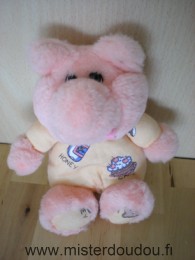 Doudou Cochon Ajena Rose orange motifs cake milk .. Rose en peluche et orange en tissus