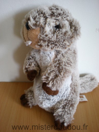 Doudou Marmotte Roda Rodadou marron blanc 