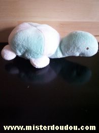 Doudou Tortue Comptine Vert blanc 