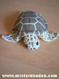 Doudou Tortue - Marque non connue - Marron Leosco colection