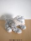 Chat-0-Blanc-gris-yeux-bleues