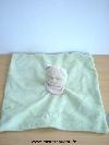 Chat-Bengy-Patou-vert-foulard-rose