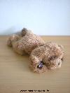 Chien-0-Marron-ruban-soie-marron-Fait--wouaf-wouaf-quand-on-appuie-sur-sa-patte