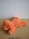 Chien-0-Orange