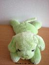 Chien-0-Vert