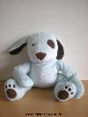 Chien-3-suisses-Bleu-marron-scratchs-aux-pattes
