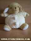 Chien-Baby-sun-Beige-jaune