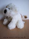 Chien-Histoire-d-ours-Blanc-marron-nez-noir