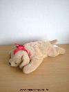 Chien-Kimbaloo-Beige-ruban-rouge-kimbaloo-Marque--plein-nord-