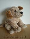 Chien-Lascar-Beige-marron