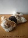 Chien-Nounours-Blanc-beige-marron