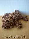 Chien-Nounours-Marron