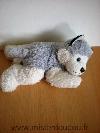 Chien-0-Chien-loup-husky-gris-blanc-yeux-bleus-allonge-Nez-plastique-noir
